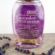 Ogx Lavender Luminescent Platinum Shampoo 385Ml Ogx Lavender Luminescent Platinum Shampoo 385Ml