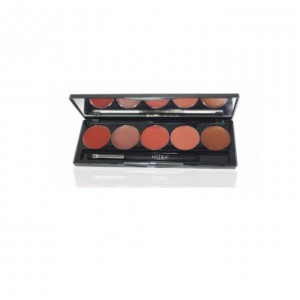 Office Glanorus 5 Color Lip Palette D04 Office Glanorus 5 Color Lip Palette D04