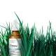 The Ordinary Multi-Peptide Serum For Hair Density 60Ml The Ordinary Multi-Peptide Serum For Hair Density 60Ml
