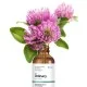 The Ordinary Multi-Peptide Serum For Hair Density 60Ml The Ordinary Multi-Peptide Serum For Hair Density 60Ml